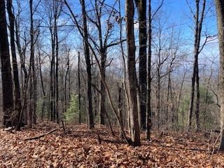 LOT 274 Heron Ct, Ellijay, GA 30540 - photo 1