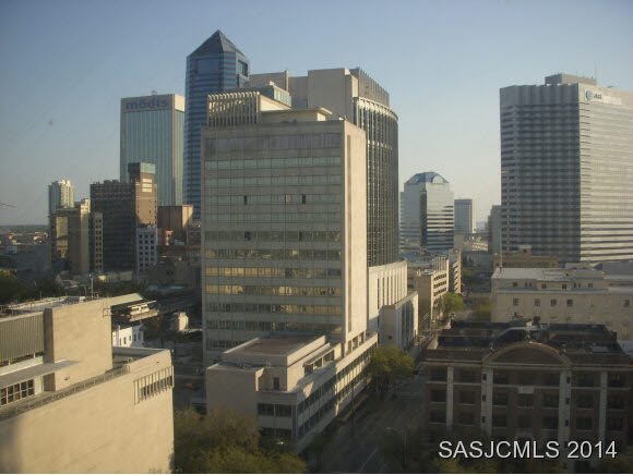 VIEW FROM THE UNIT