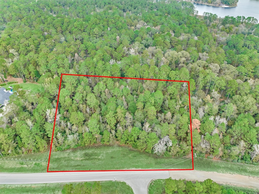 498 Lonestar Rd, Huntsville, TX 77340 - photo 1