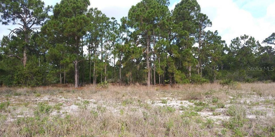 644 Stargazer Dr, Lake Placid, FL 33852 - photo 1