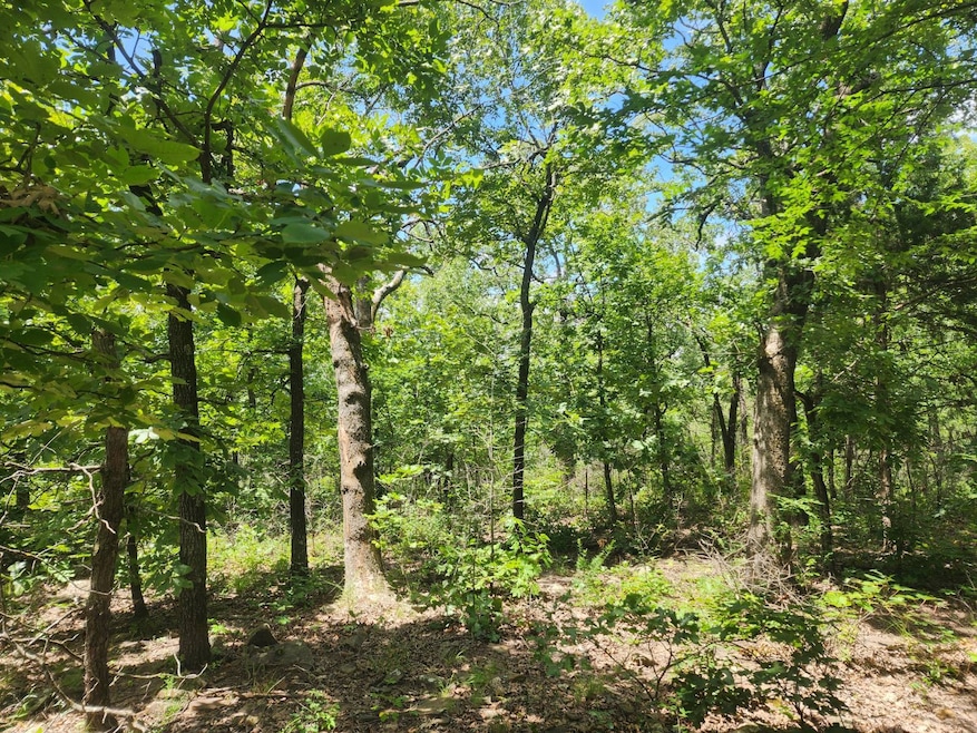 000 Oklahoma 63, Talihina, OK 74571 - photo 1