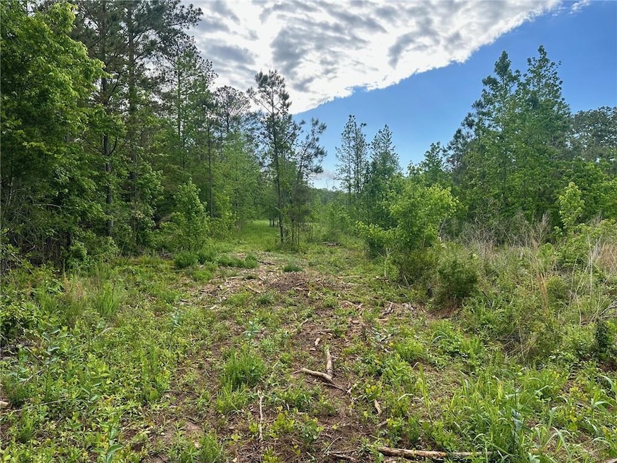 View of local wilderness with a forest view