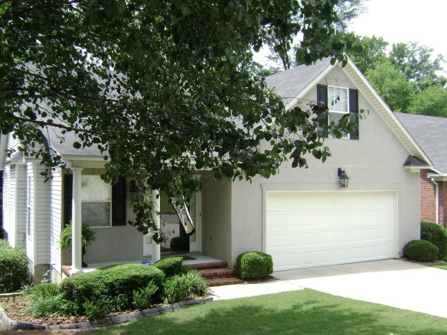 Main View
