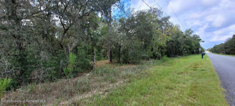 Lot View