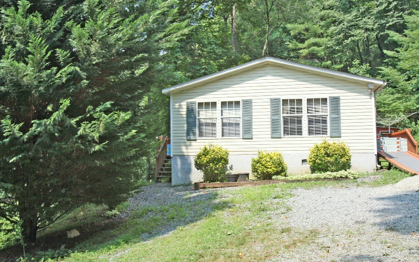 Main View