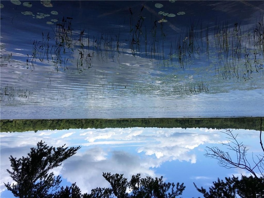 Water view on Torsey Pond