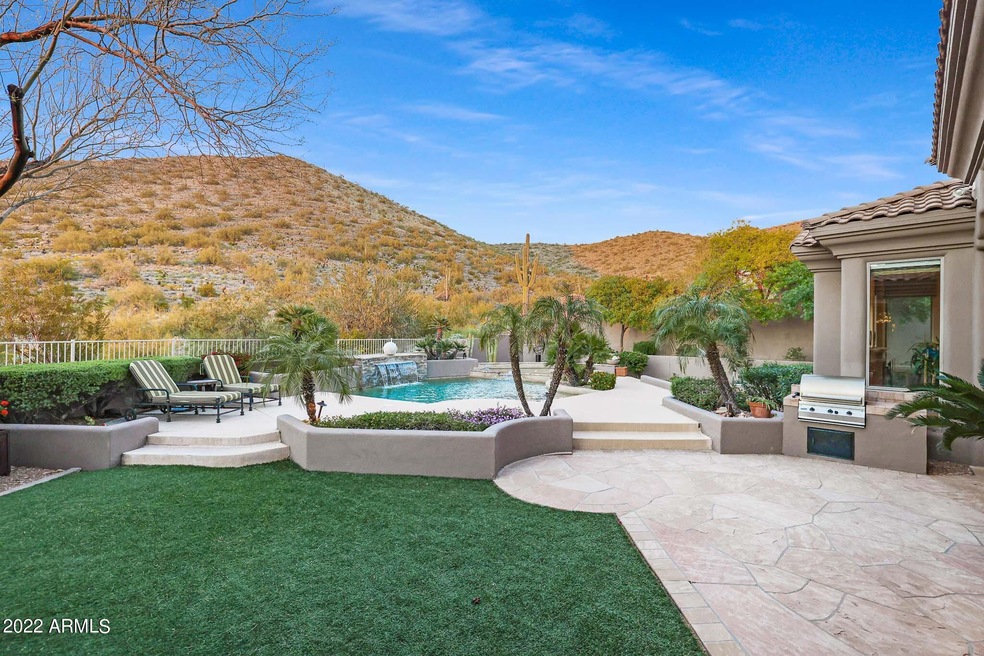Desert Oasis!