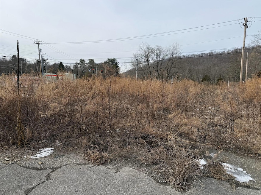 1515-1519 State Route 55, Lagrangeville, NY 12540 - photo 1