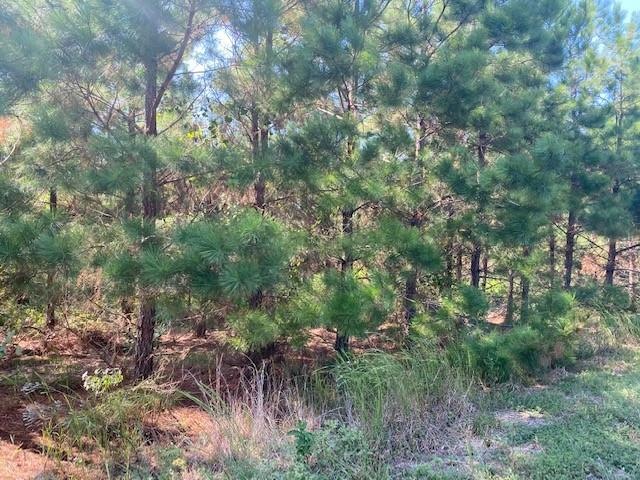 0 Lot 76 Ruts Pine Loop, Broken Bow, OK 74728 - photo 1