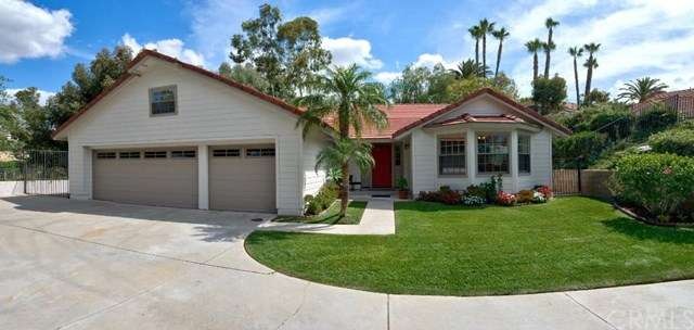 Bright Updated Single Story Home