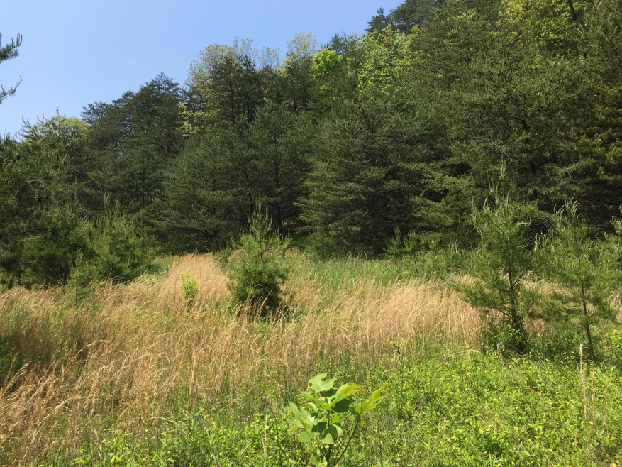 Land