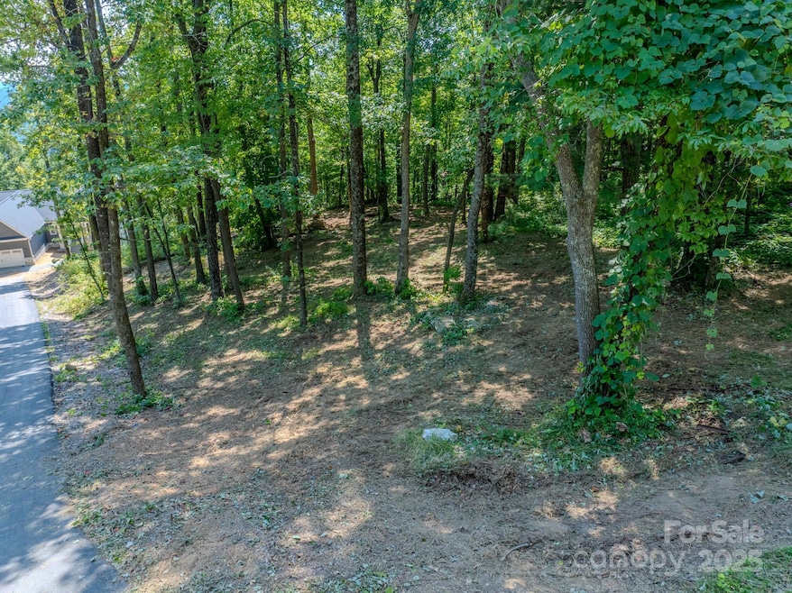 0000 Pinnacle Mountain Rd unit 1, Zirconia, NC 28790 - photo 1