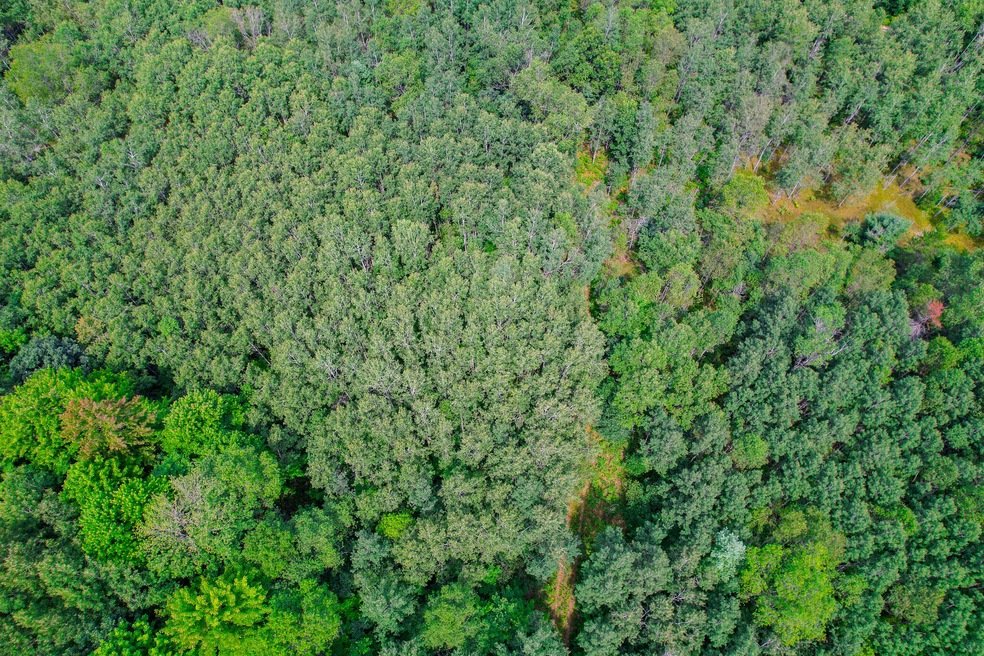 DJI_0365