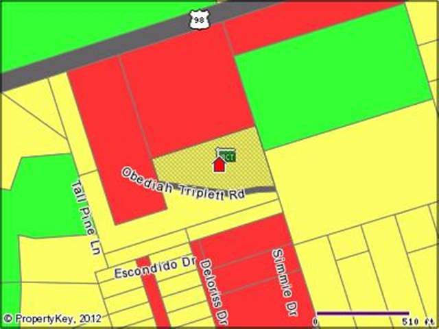 0 Obediah Triplett Rd, Crawfordville, FL 32327 - photo 1