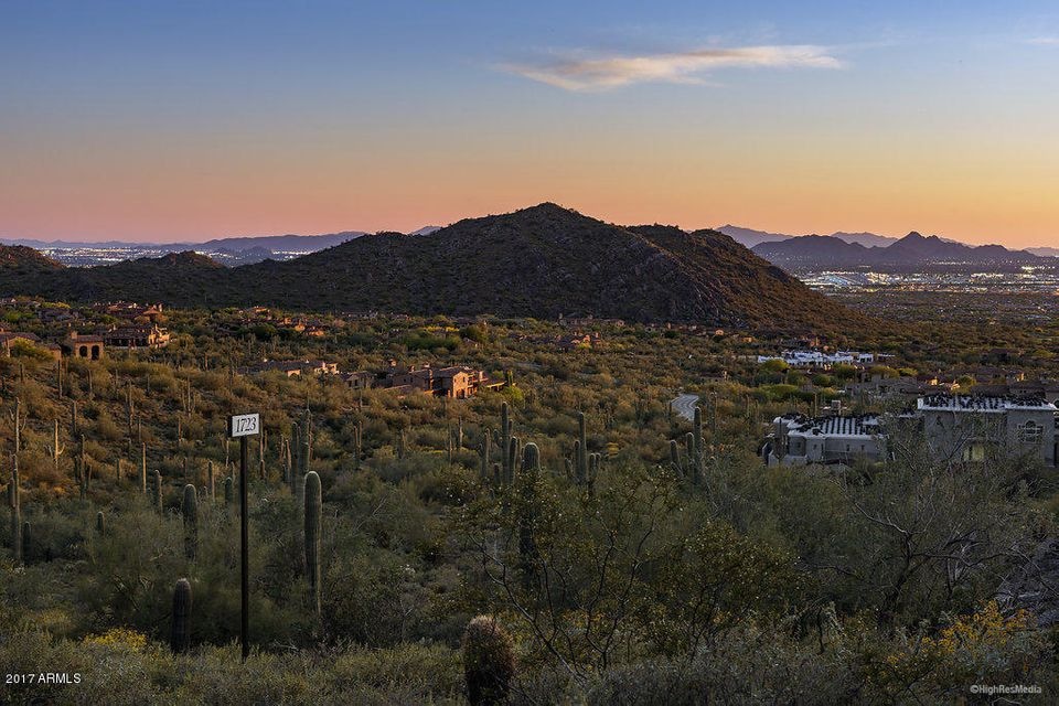 Silverleaf 1723