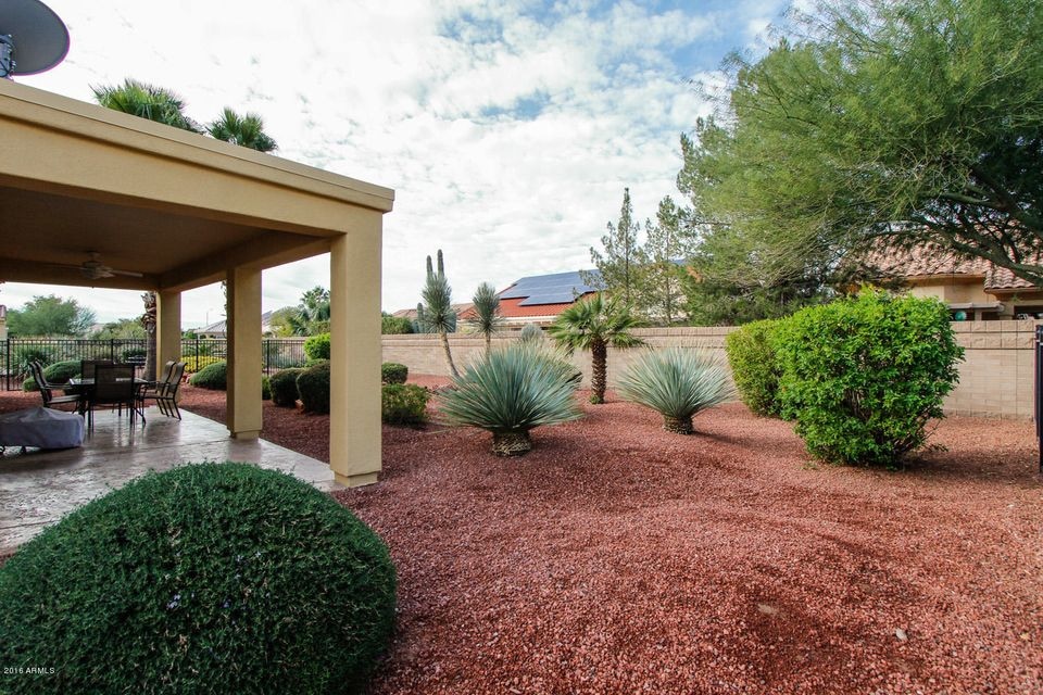 Patio and Rear Yard