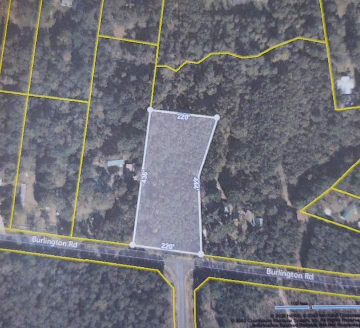 Pat Watson Aerial View