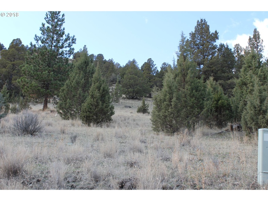 0 S Adam Dr unit 18349443, Canyon City, OR 97820 - photo 1