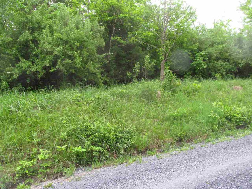 Lot 248 Quail Rd, Basye, VA 22810 - photo 1