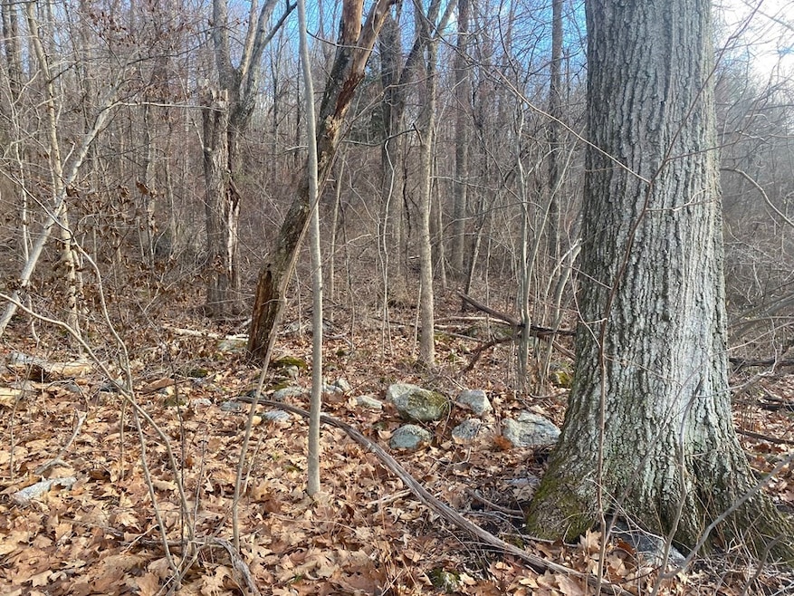 Lot 9A O'Neil Rd, Warren, MA 01083 - photo 1