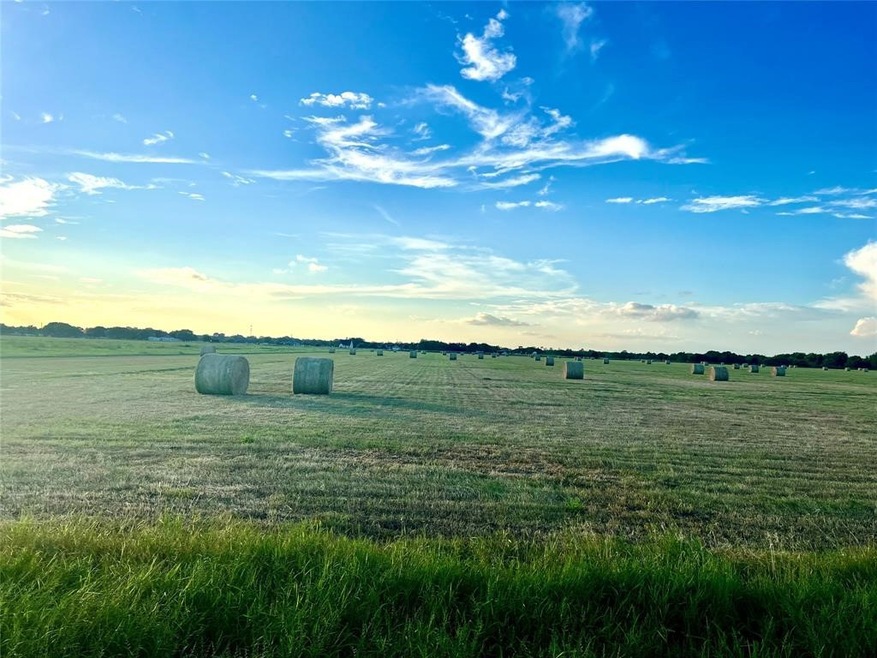 Lot 4 Roesler Rd, Needville, TX 77461 - photo 1