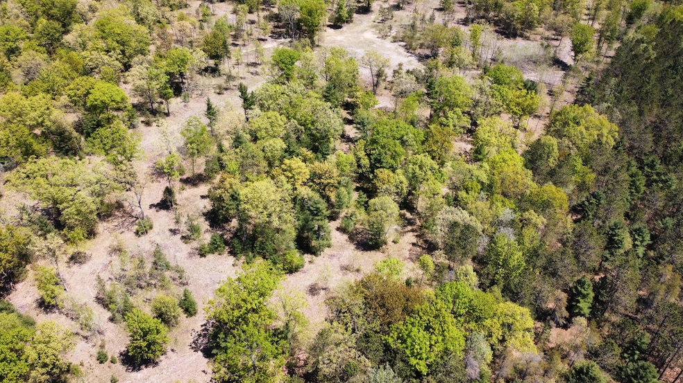 0 Red Apple Rd unit 24020764, Filer Charter Township, MI 49660 - photo 1