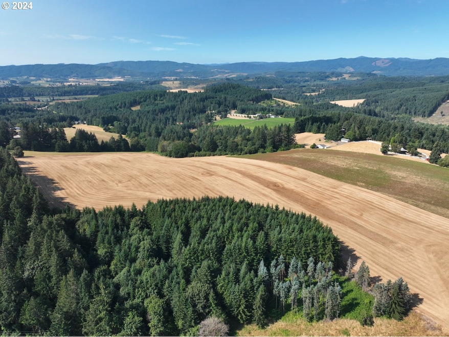 45035 NW Star St, Banks, OR 97106 - photo 1