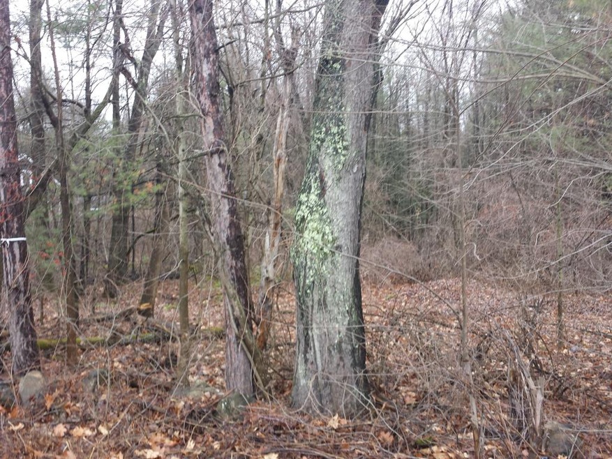 193 N Main St, Boscawen, NH 03303 - photo 1