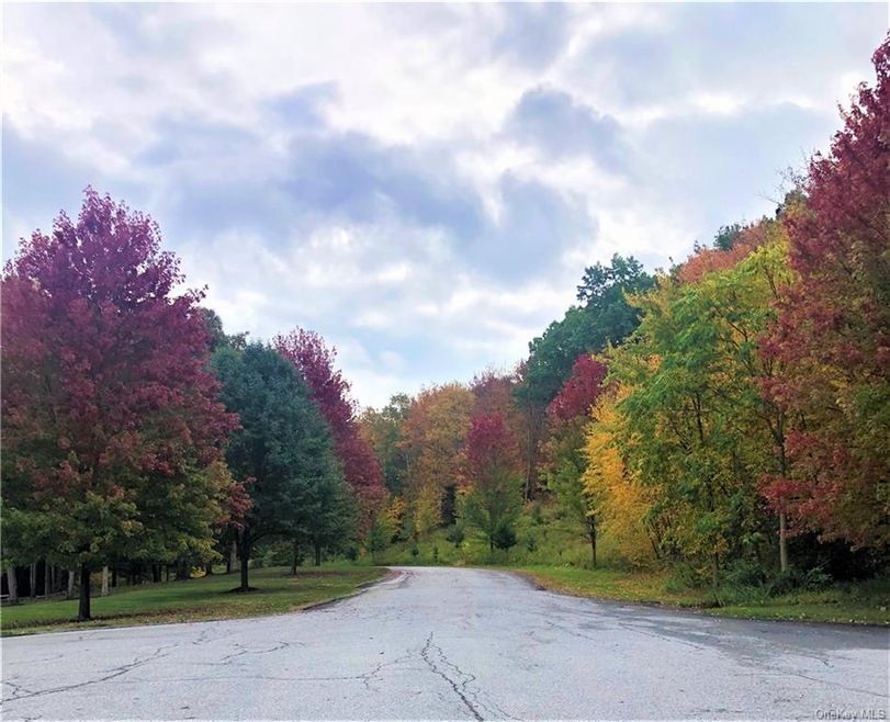 MAJESTIC FOLIAGE ON THE CUL-DE-SAC IN THE FALL