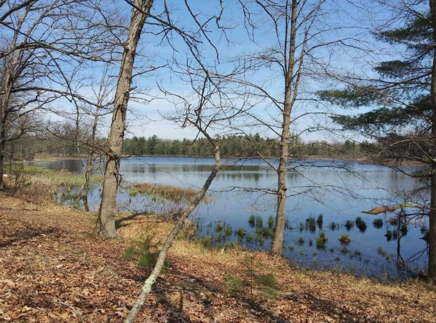 V/L N Beaver Trail, Lilley Township, MI 49309 - photo 1