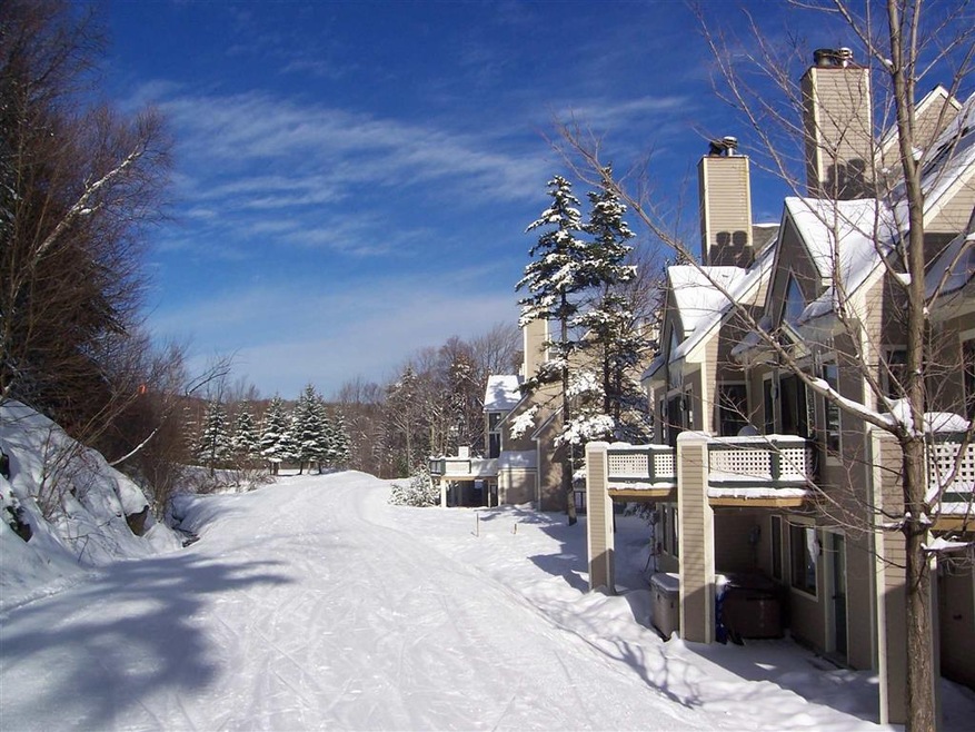 5 Northbrook Village Rd unit E22, Dover, VT 05356 - photo 1