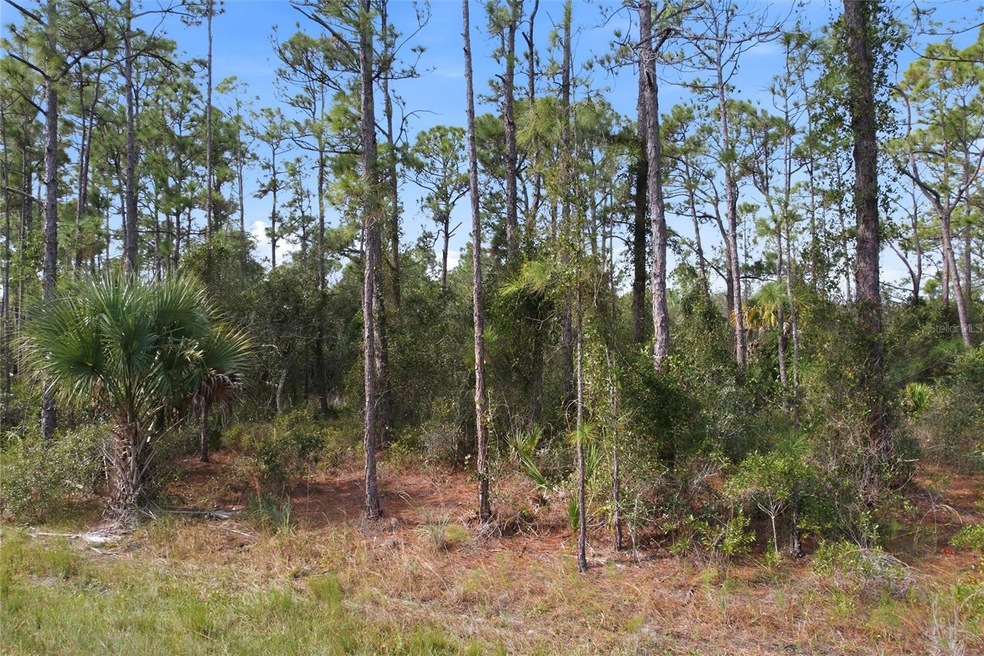 0 Einstein St unit MFRNS1086510, North Port, FL 34291 - photo 1