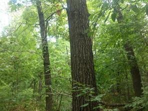 0 Trafalgar Road & Lytham Ln unit 1127202, Bella Vista, AR 72714 - photo 1