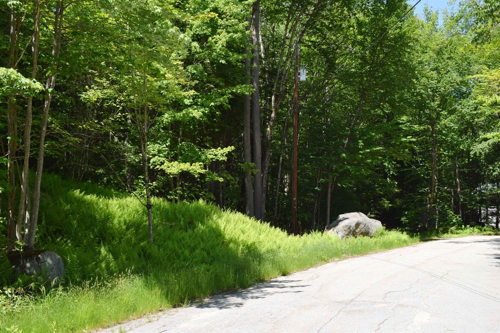 44 Black Bear Rd unit Lot 21 on the recor, Woodstock, NH 03262 - photo 1