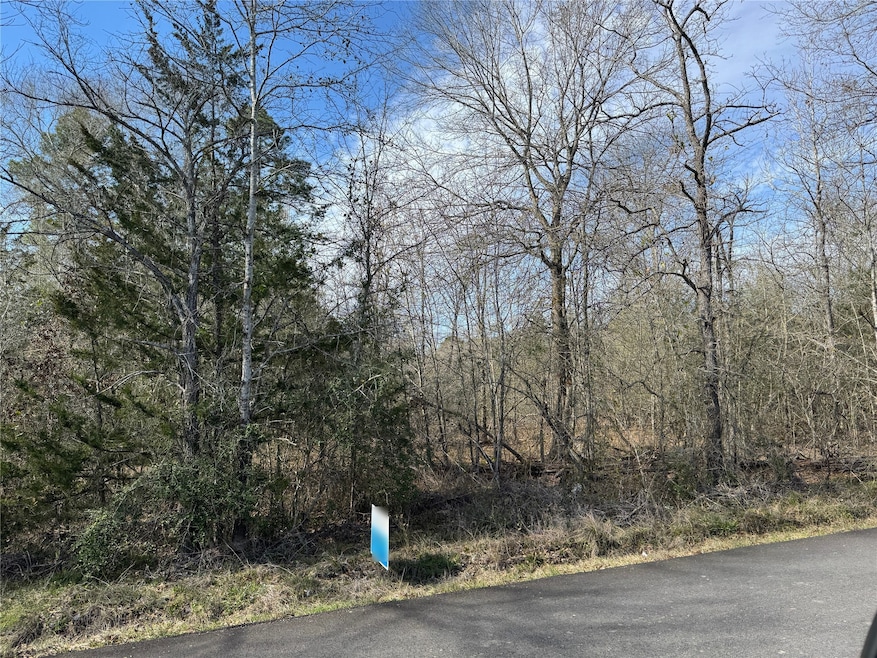 TBD Wood Farm Rd, Huntsville, TX 77320 - photo 1
