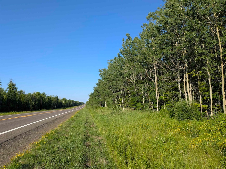 View of asphalt road with a view of trees
