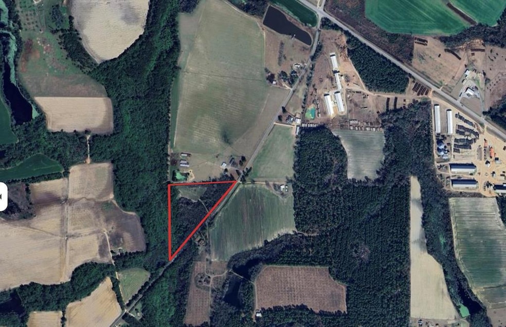 00 Reynold Griffin Rd, Ambrose, GA 31512 - photo 1