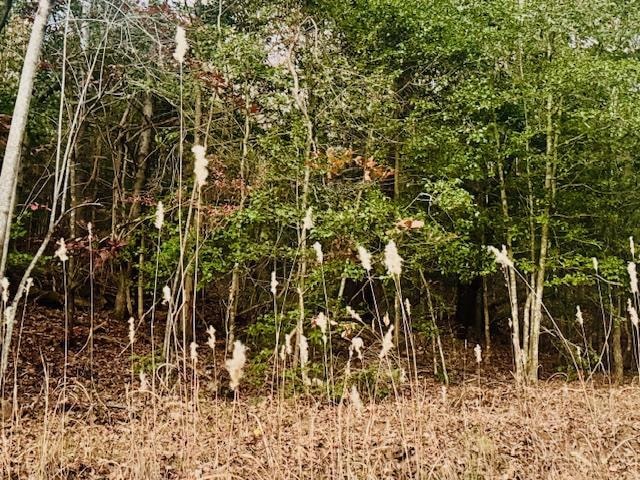 LT 9 Timberline Rd, Murphy, NC 28906 - photo 1