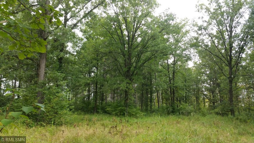 40 acres with a deer shack that has electricity an