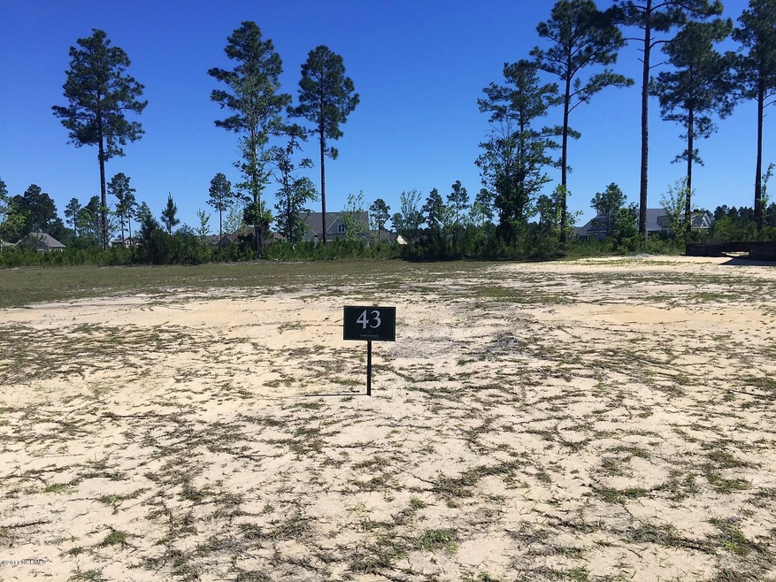 1273 Cross Water Cir, Leland, NC 28451 - photo 1