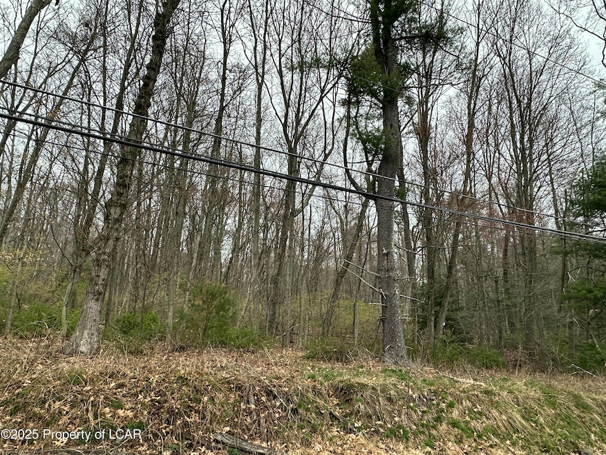 0 Pond Hill Mountain Rd unit 25-171, Wapwallopen, PA 18660 - photo 1