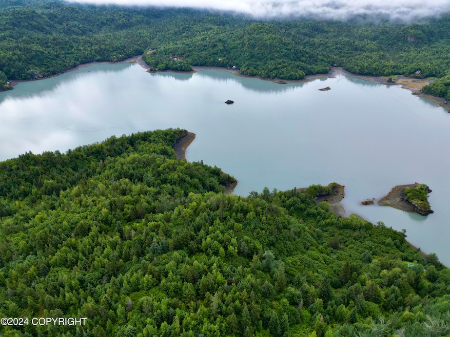 L2B Bear Cove, Homer, AK 99603 - photo 1