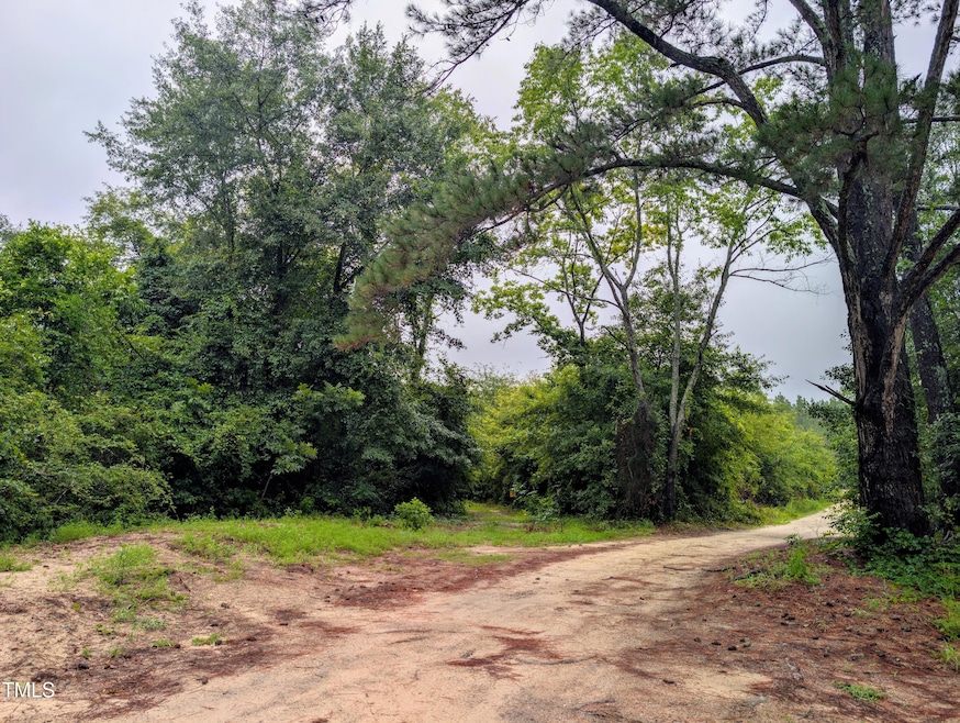 00 Flaming Star Dr, Pine Forest, NC 28356 - photo 1