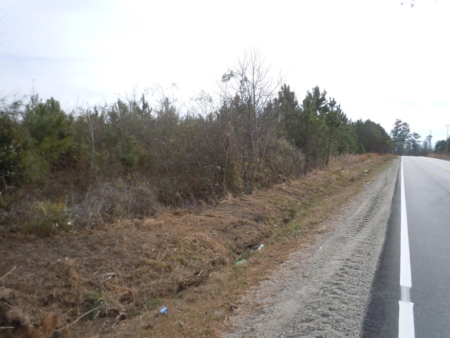 Mollie Road Pics 002