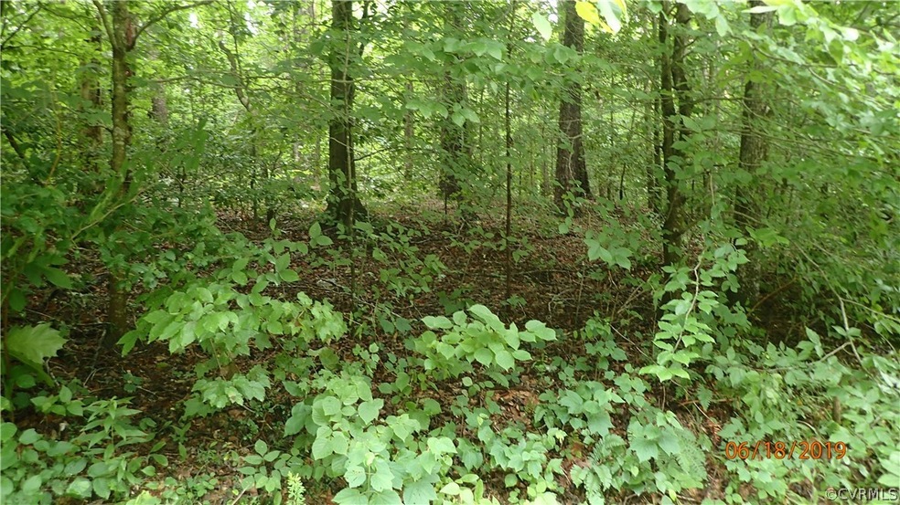 Beautiful Hardwoods Typical of Those Found on the
