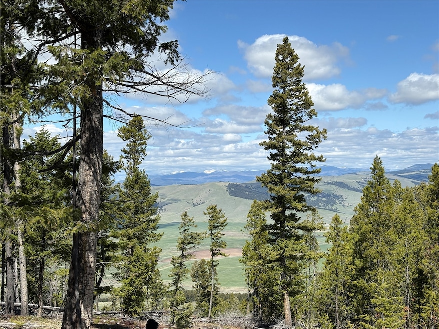 Nhn Trapper Ridge, Philipsburg, MT 59858 - photo 1