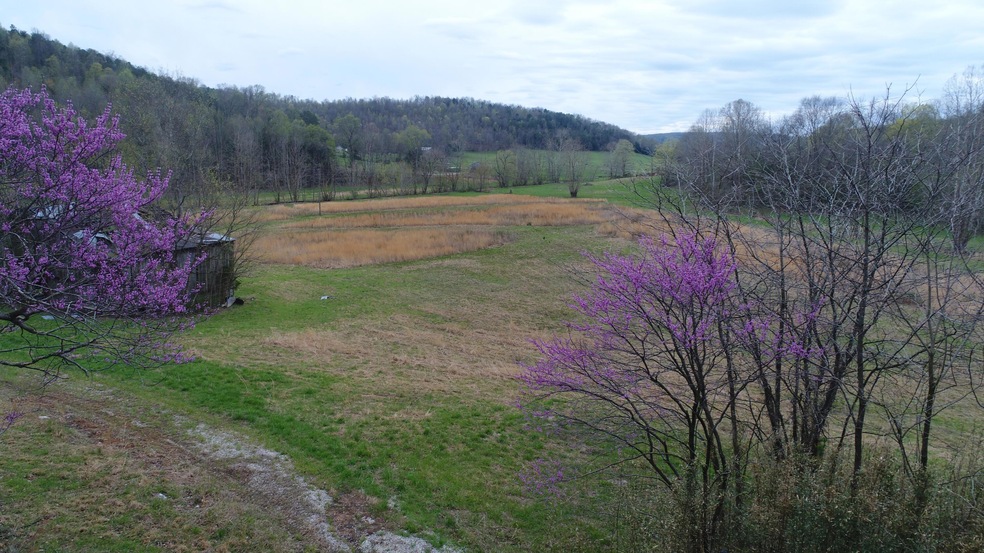 1999 Piney Grove Rd, Somerset, KY 42501 - photo 1