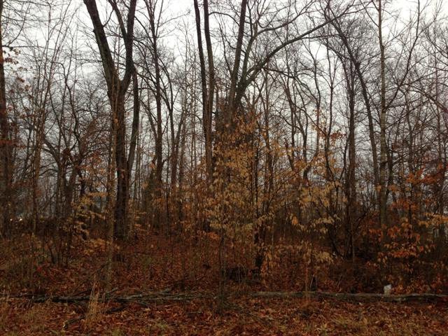 200 Brookside Dr, Algood, TN 38506 - photo 1