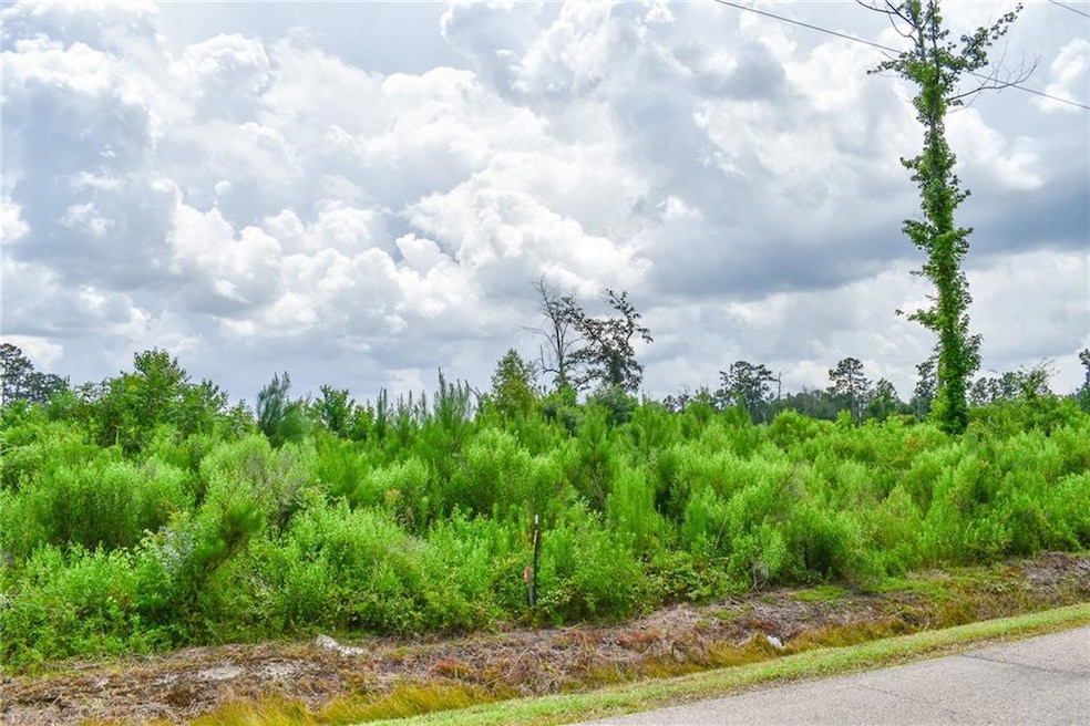 0 Old Genessee Rd unit 2482074, Tickfaw, LA 70466 - photo 1