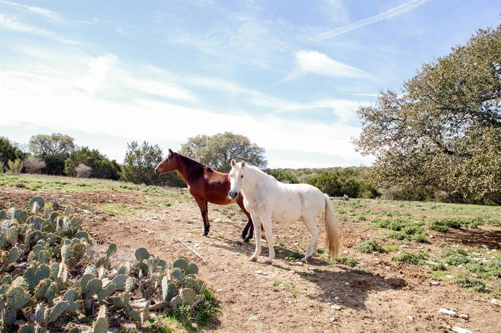 Sold • Co-Listing Agent